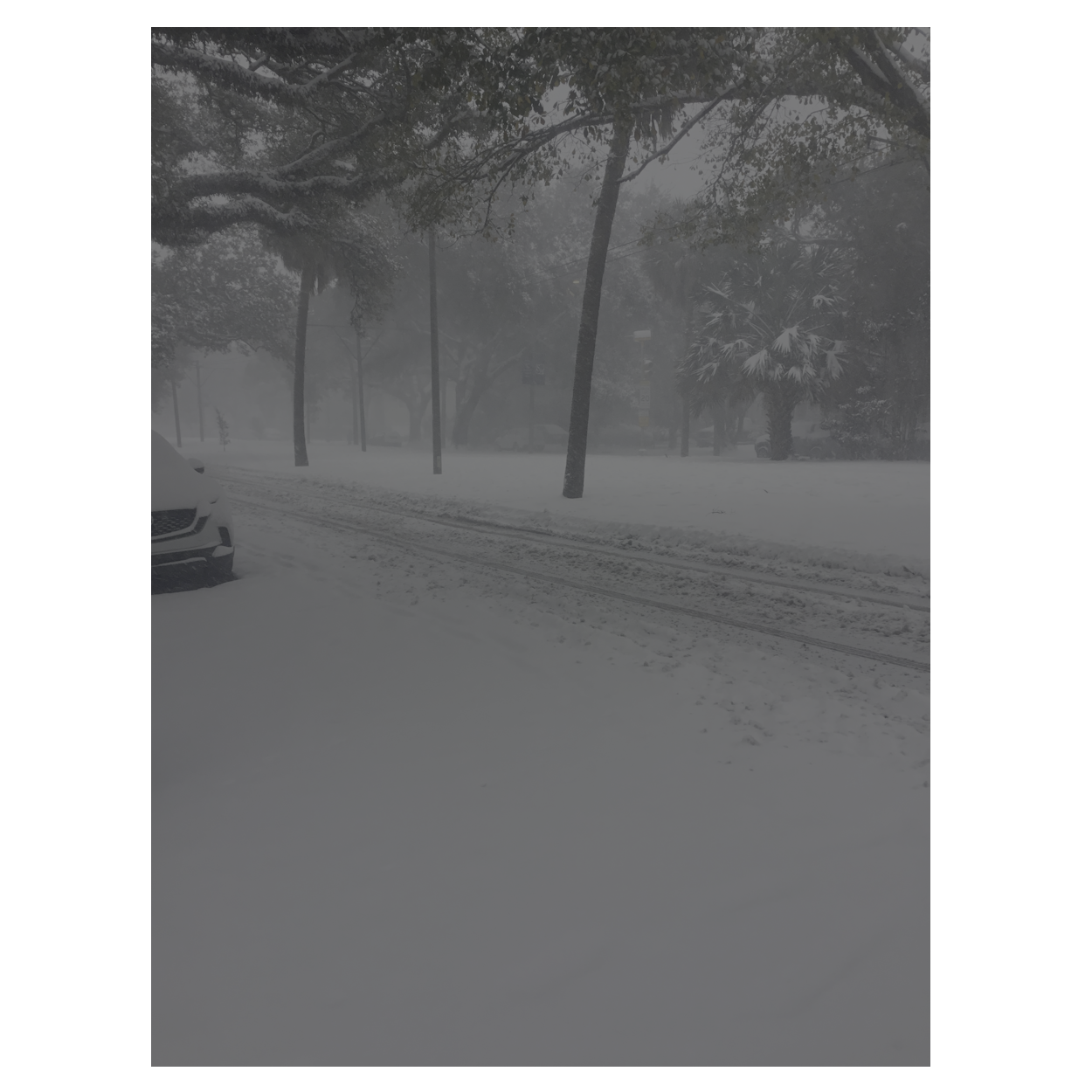 shit ton of snow in new orleans